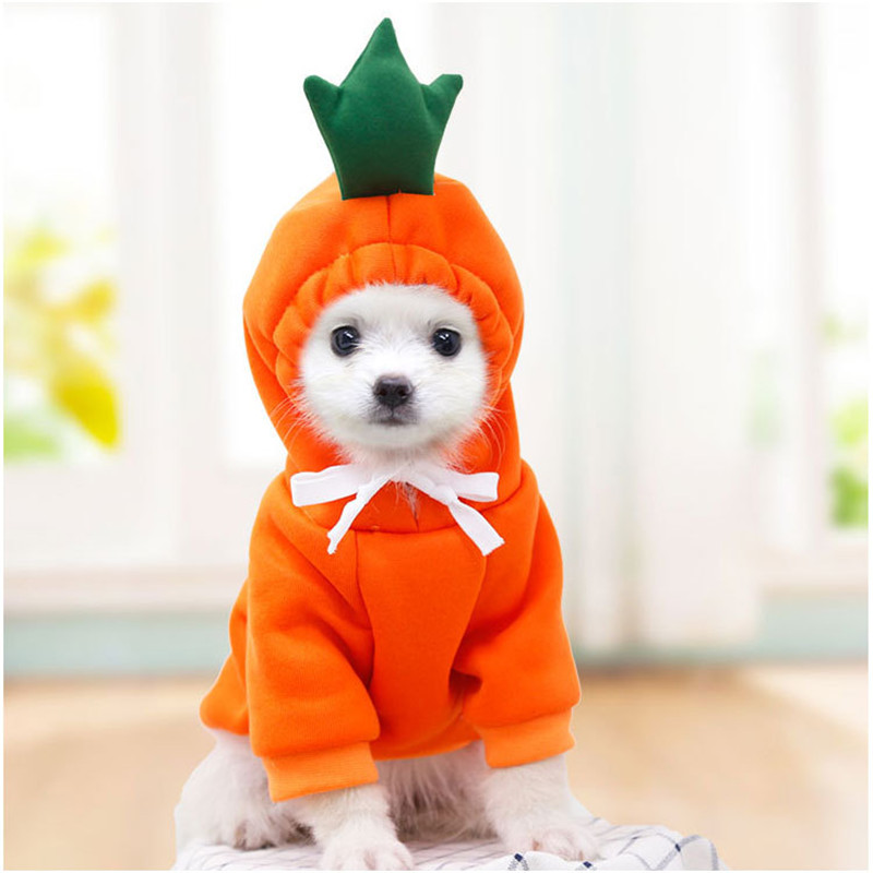 Cute Fruit Dog Clothes for Sma - Winter Clothing Pictures review and price