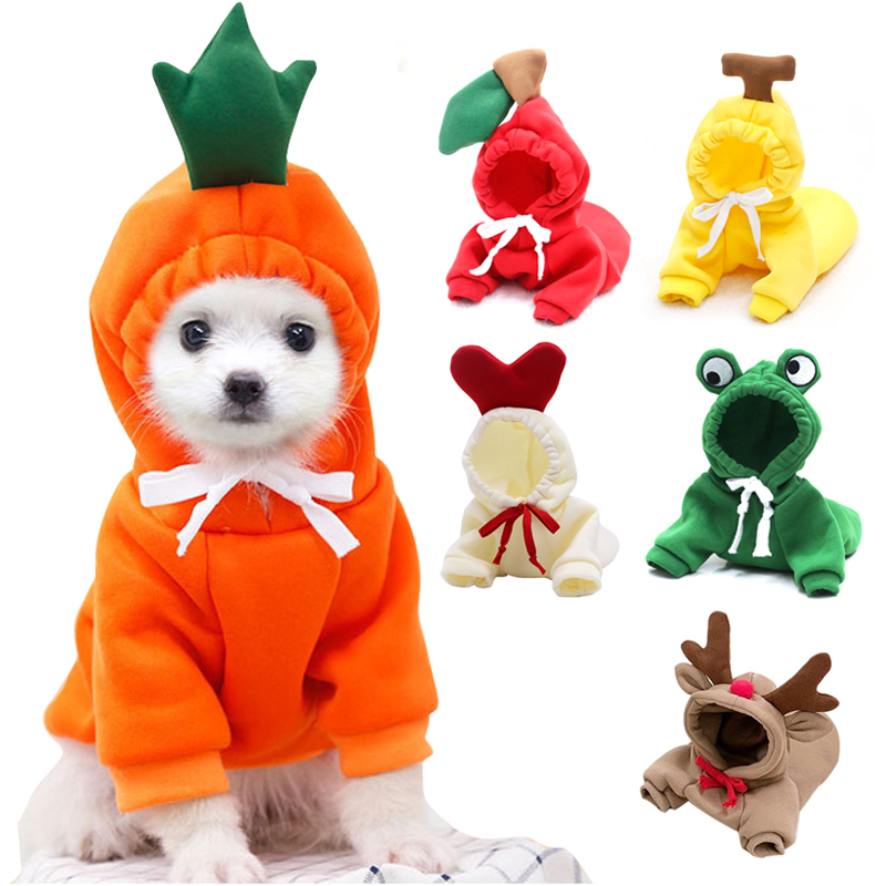 Cute Fruit Dog Clothes for Sma - Winter Clothing Pictures review and price