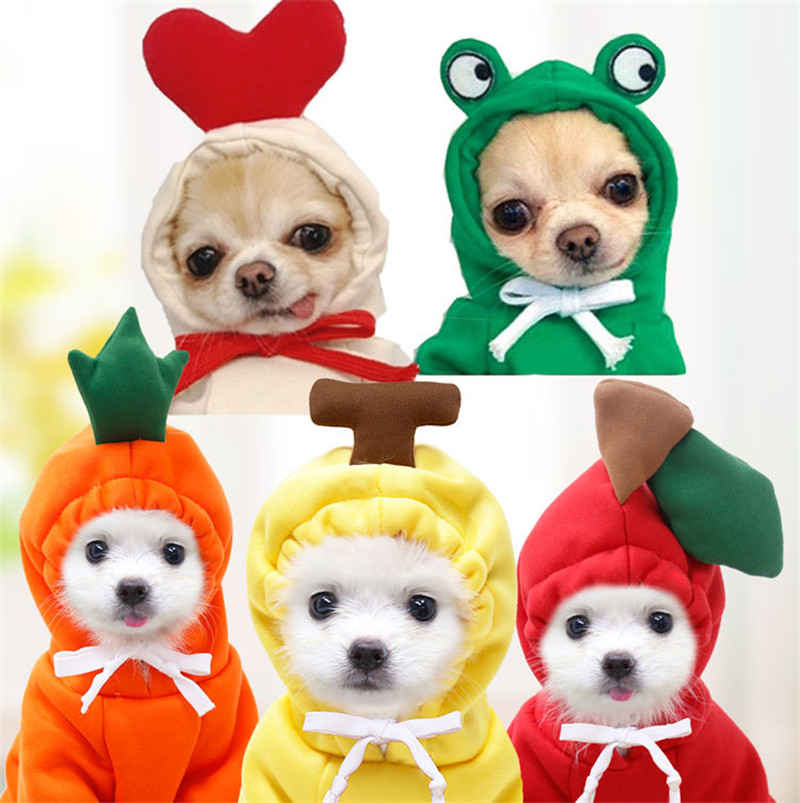 Cute Fruit Dog Clothes for Sma - Winter Clothing Pictures review and price